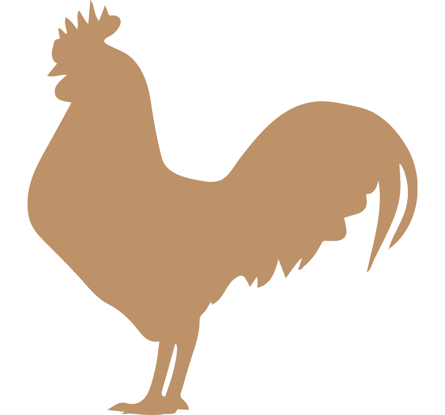 مجمدات دواجن